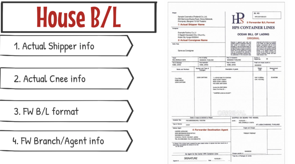 About House B/L And Master B/L Difference ｜ 【フォワーダー大学 】国際物流学科 タイキャンパス