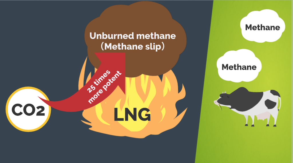 Decarbonized fuel in shipping industry. Explained LNG, Ammonia ...